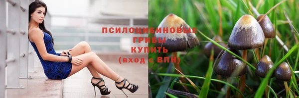 mdpv Вяземский
