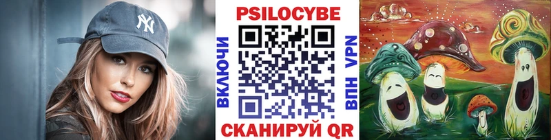 что такое наркотик  Петрозаводск  Галлюциногенные грибы мицелий 
